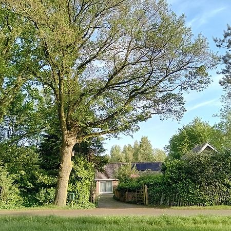 Ruim Huisje Op Een Prachtige Plek Hemrik エクステリア 写真