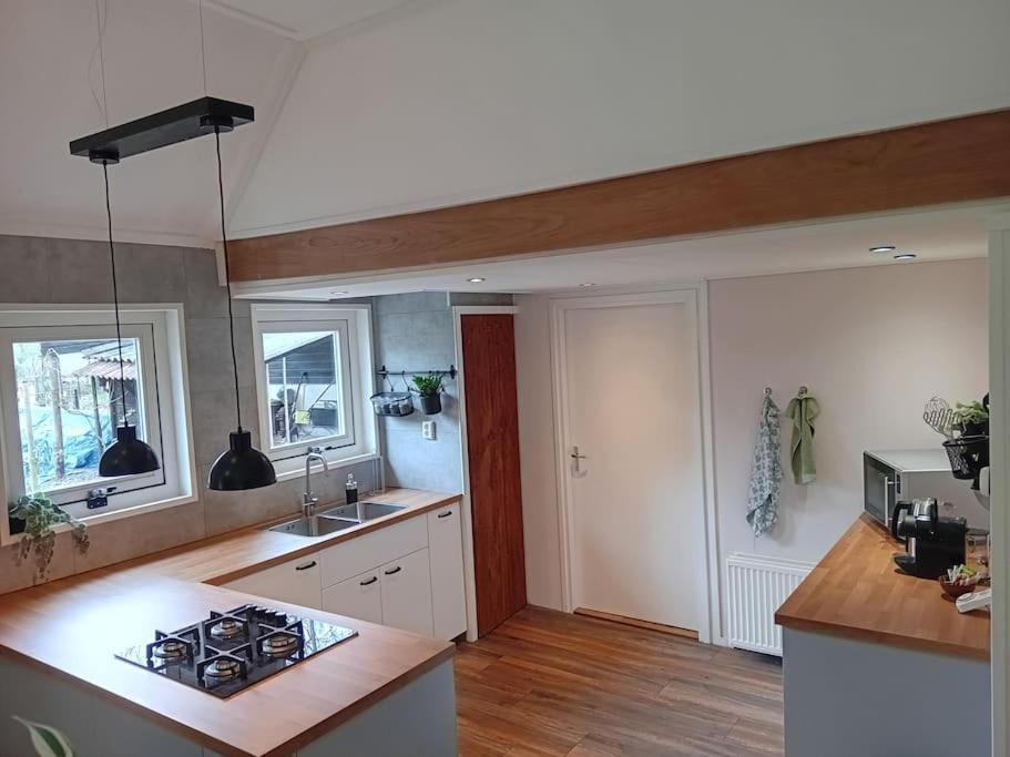 Ruim Huisje Op Een Prachtige Plek Hemrik エクステリア 写真