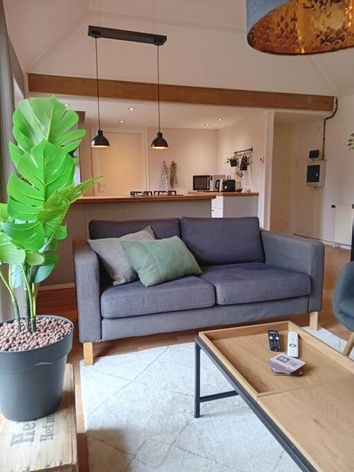 Ruim Huisje Op Een Prachtige Plek Hemrik エクステリア 写真