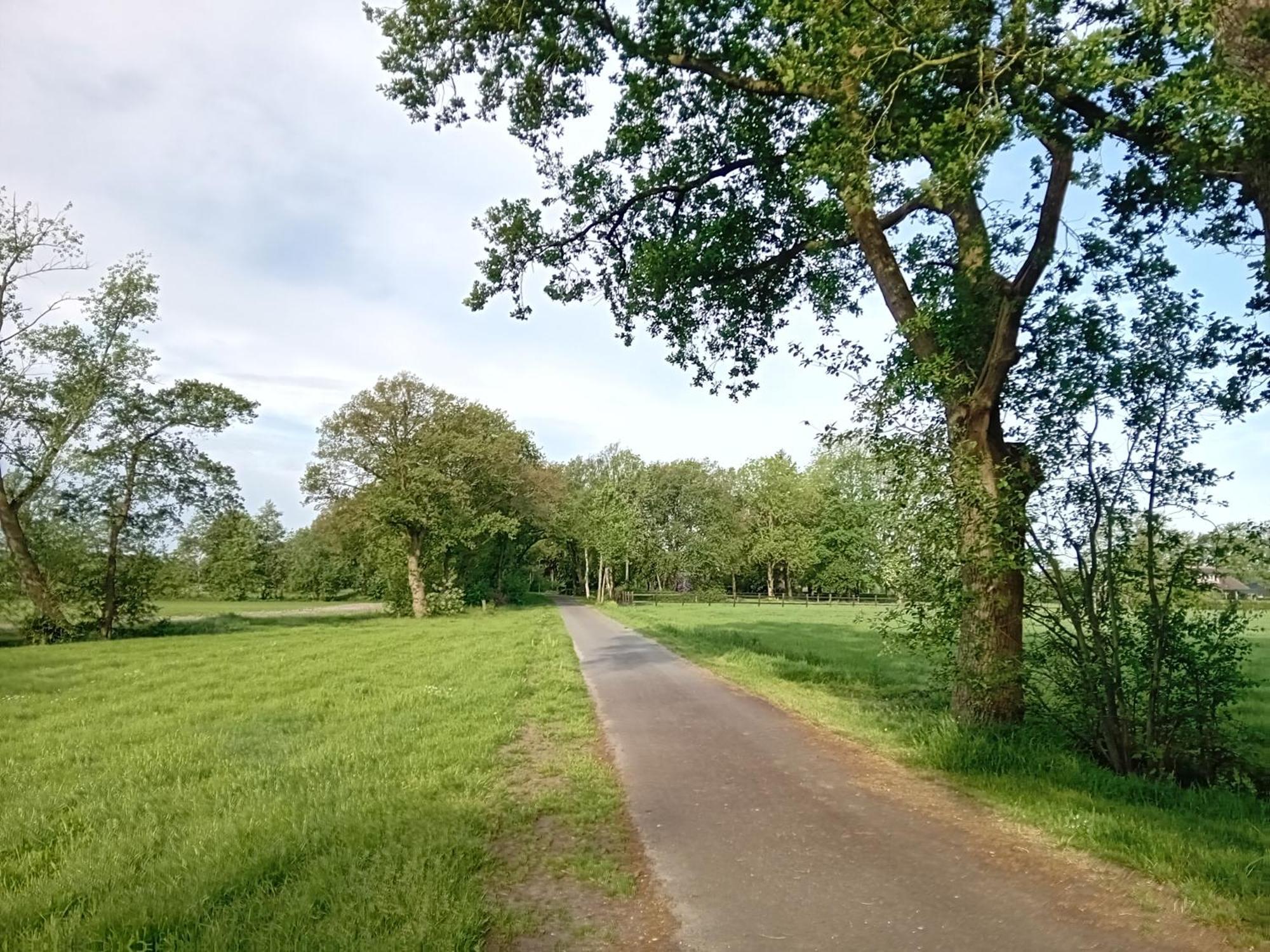 Ruim Huisje Op Een Prachtige Plek Hemrik エクステリア 写真