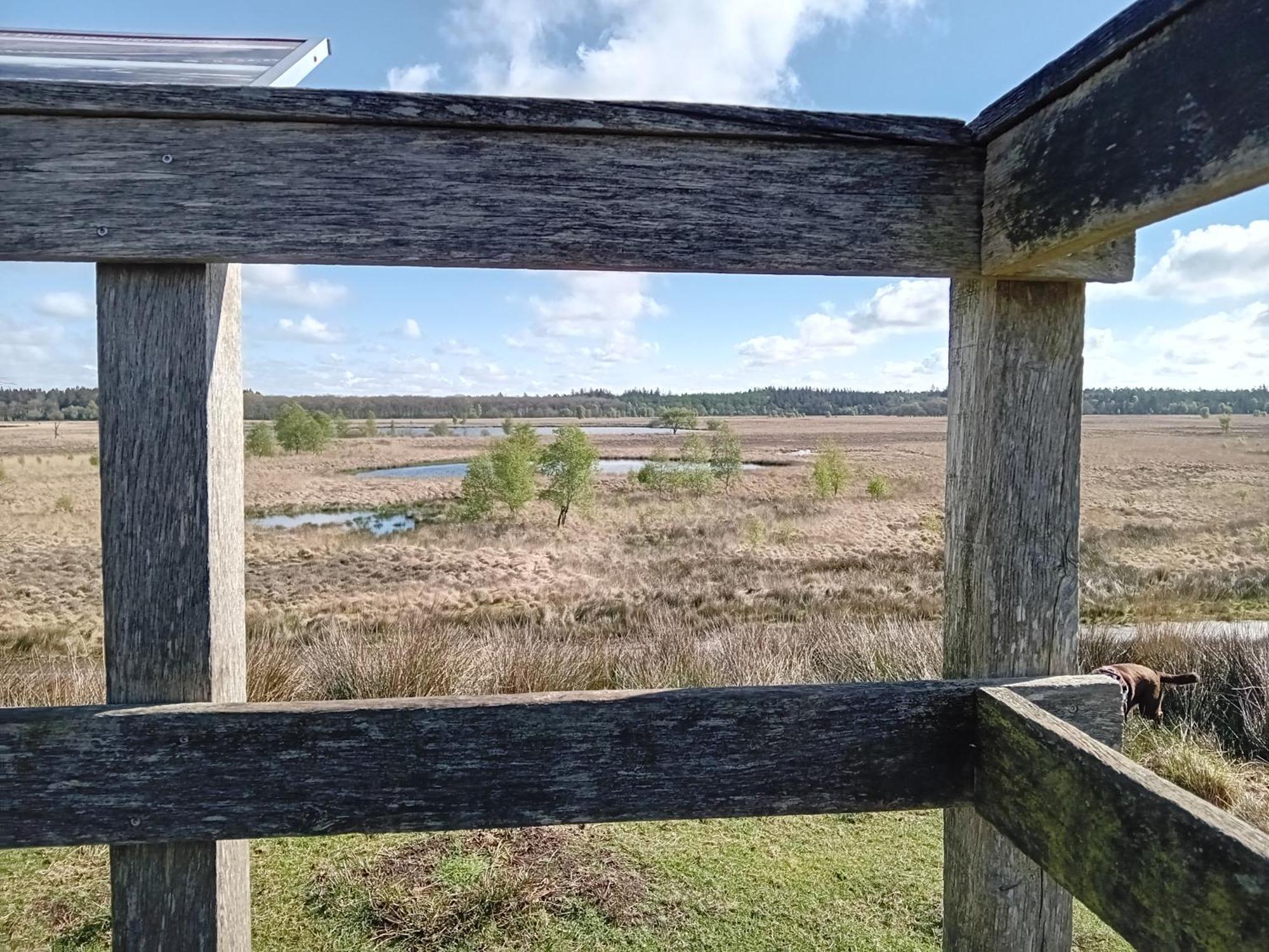 Ruim Huisje Op Een Prachtige Plek Hemrik エクステリア 写真