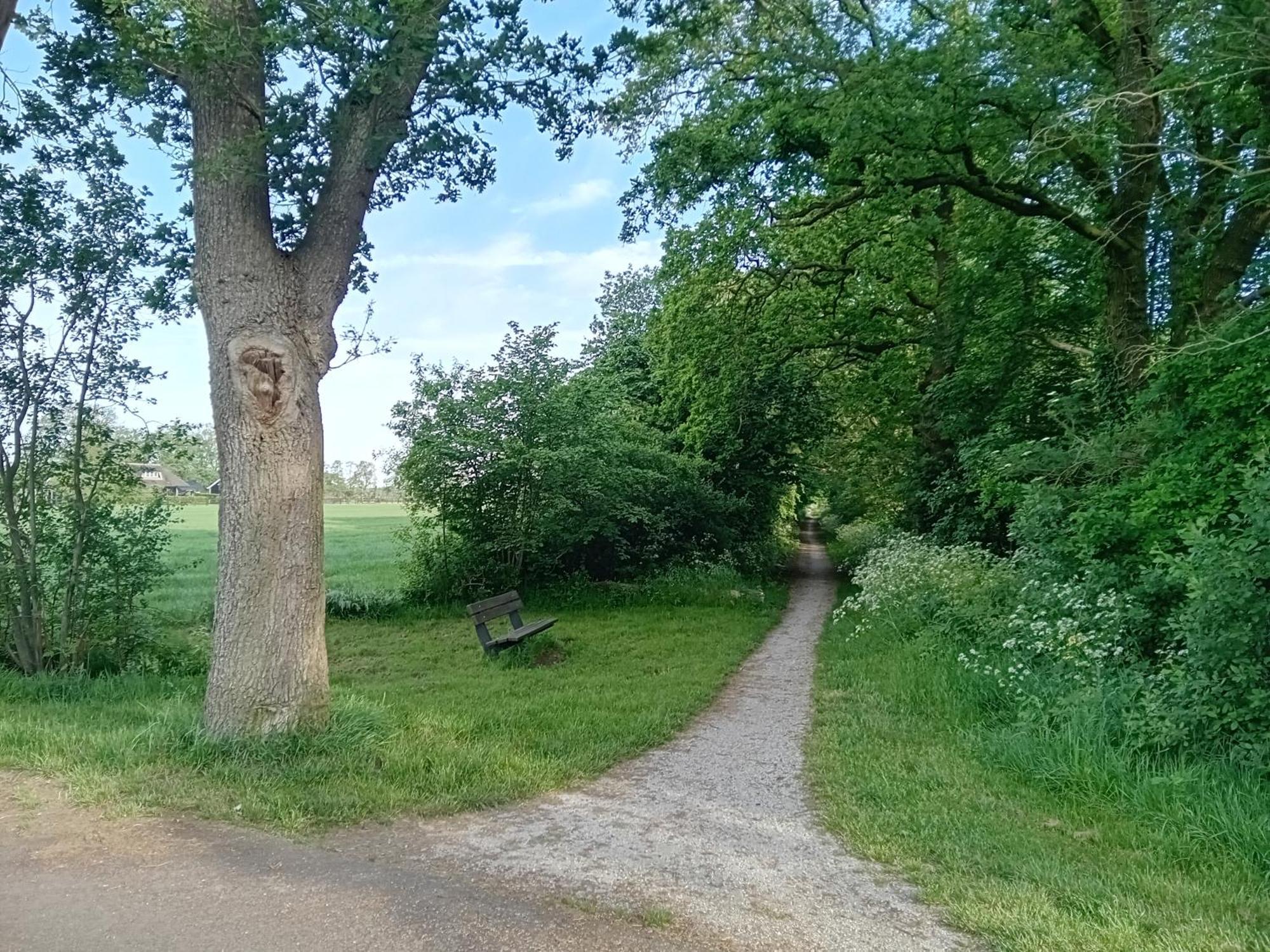 Ruim Huisje Op Een Prachtige Plek Hemrik エクステリア 写真