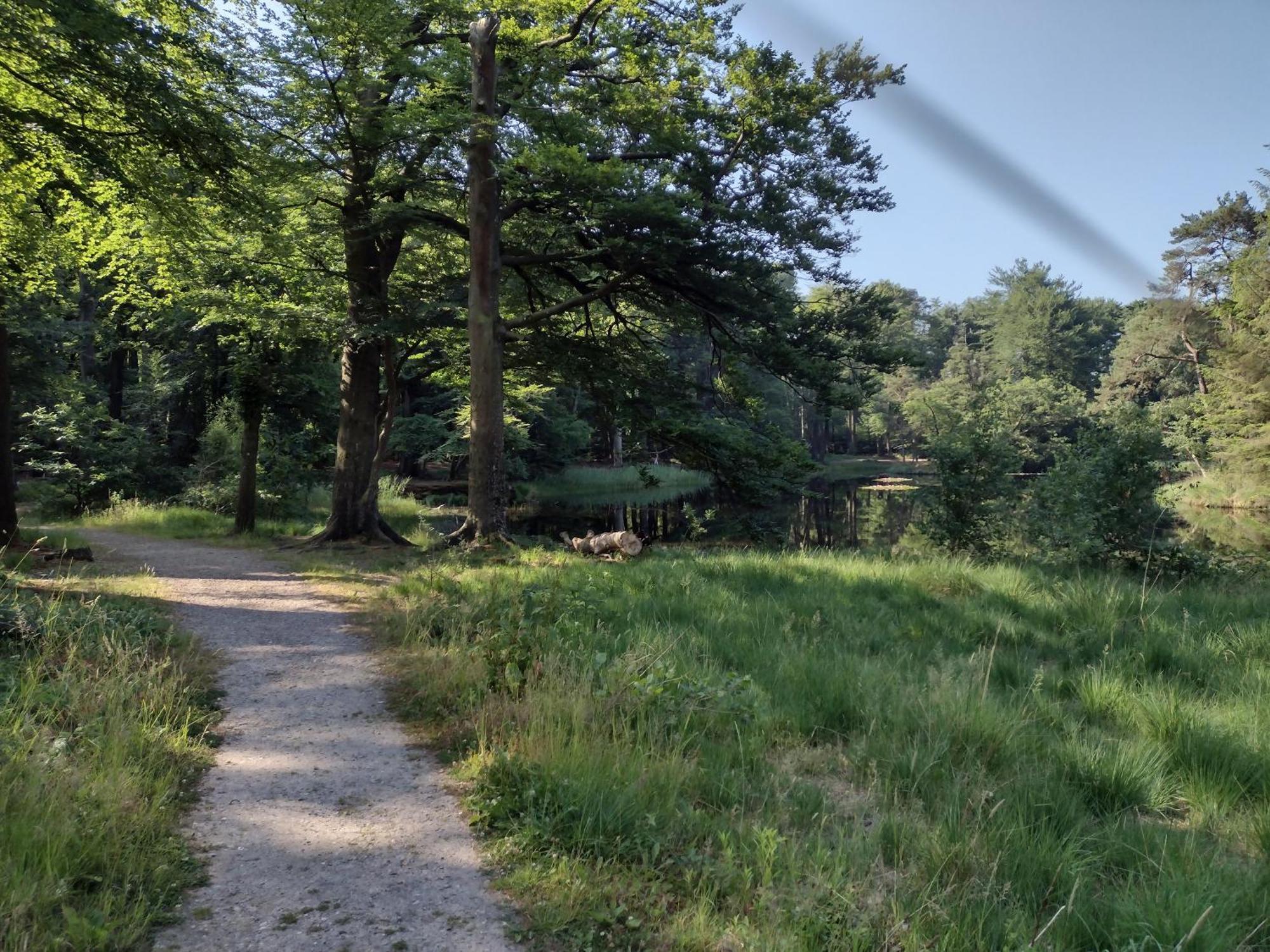 Ruim Huisje Op Een Prachtige Plek Hemrik エクステリア 写真