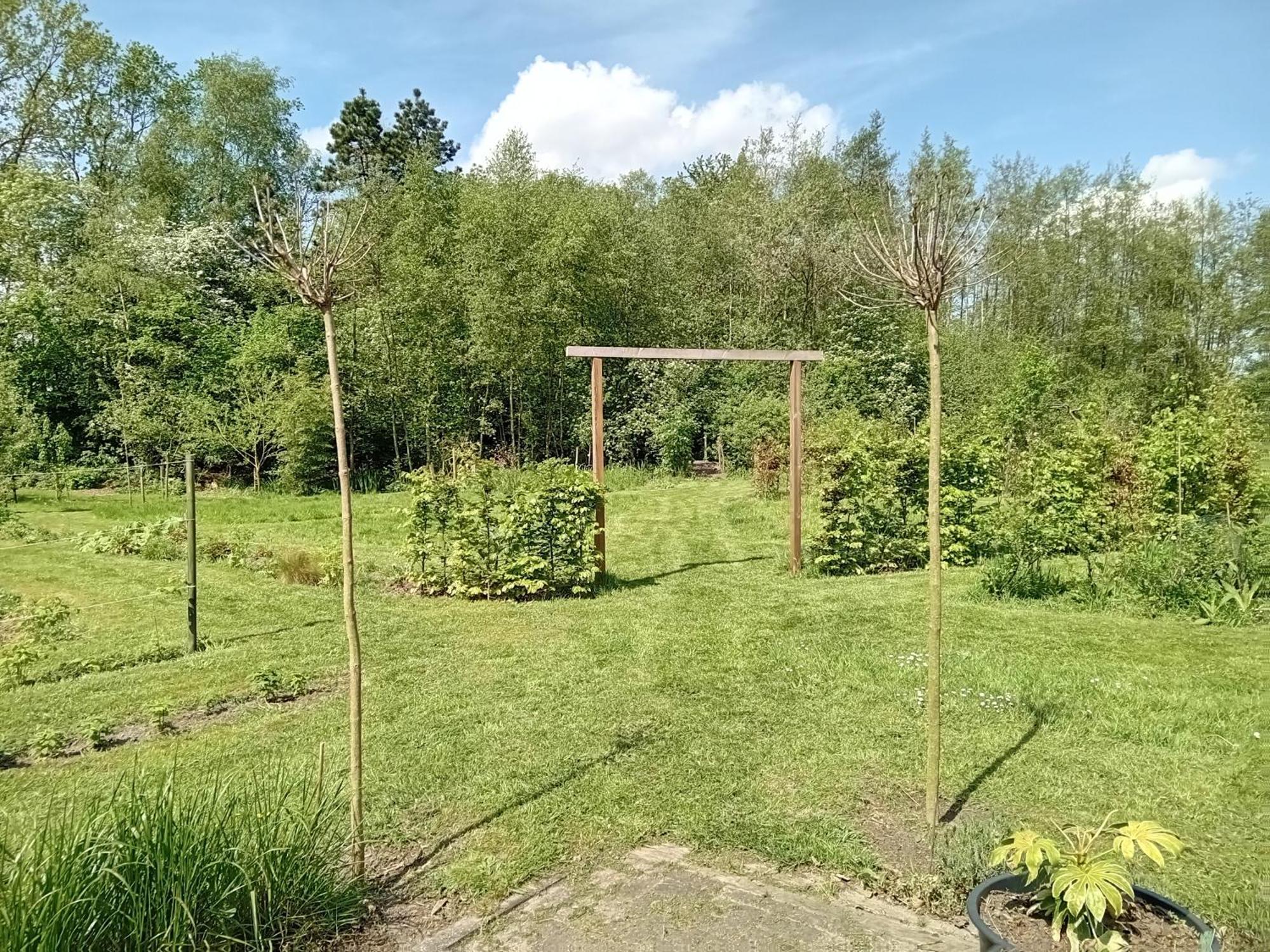 Ruim Huisje Op Een Prachtige Plek Hemrik エクステリア 写真